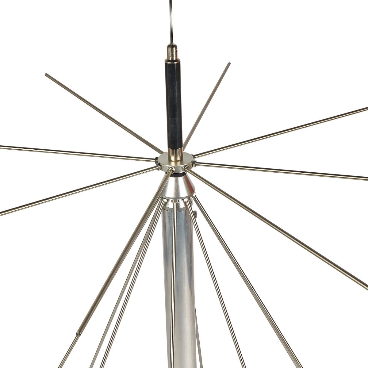 SCANKING ROYAL DISCONE 2000
